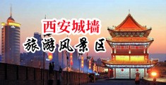 17草操在线视频中国陕西-西安城墙旅游风景区