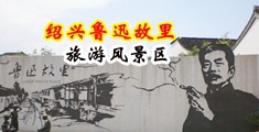 美女啊啊啊不要插了中国绍兴-鲁迅故里旅游风景区